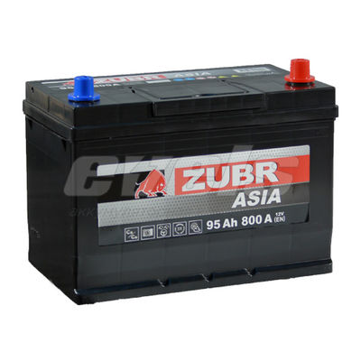 ZUBR Ultra Азия  6ст-95 R+ D31 — основное фото
